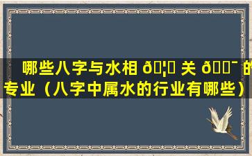 哪些八字与水相 🦈 关 🐯 的专业（八字中属水的行业有哪些）